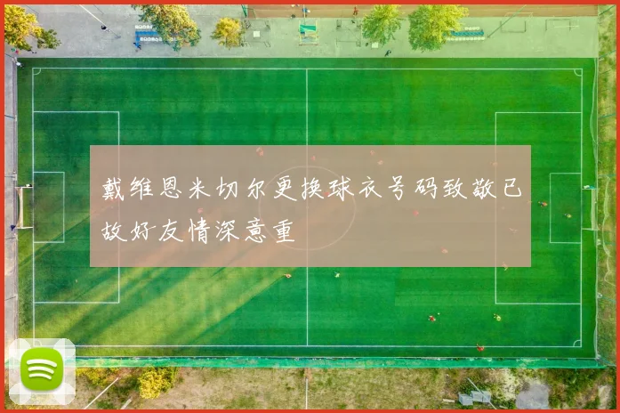 戴维恩米切尔更换球衣号码致敬已故好友情深意重